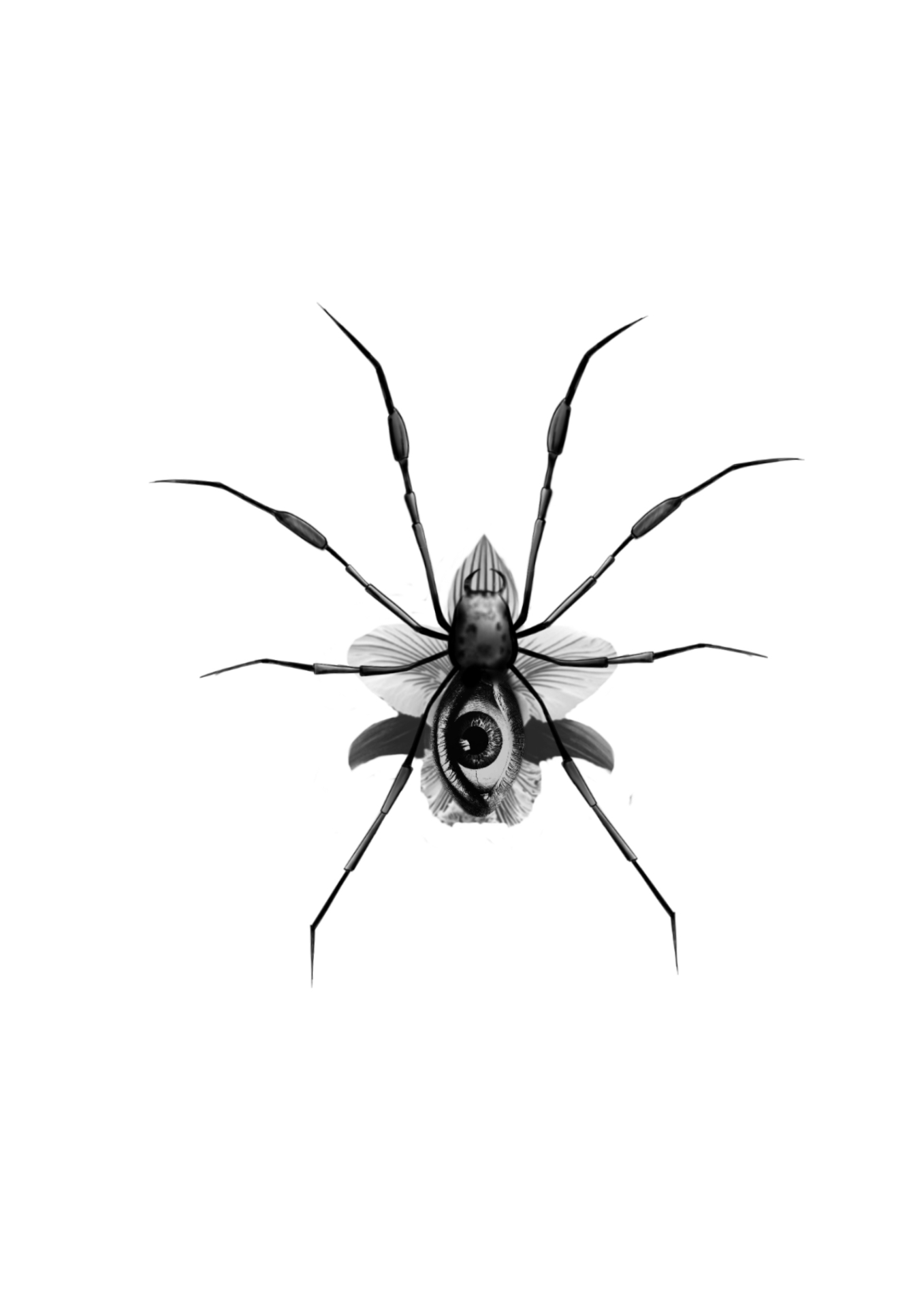 Orchid Widow