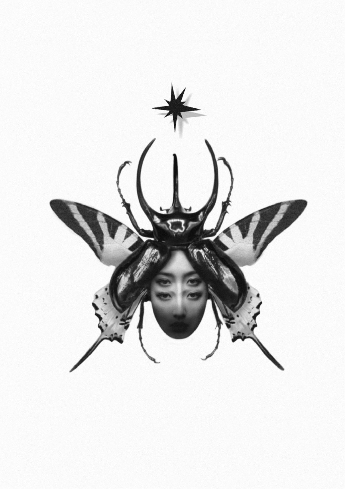 Beetle Muse