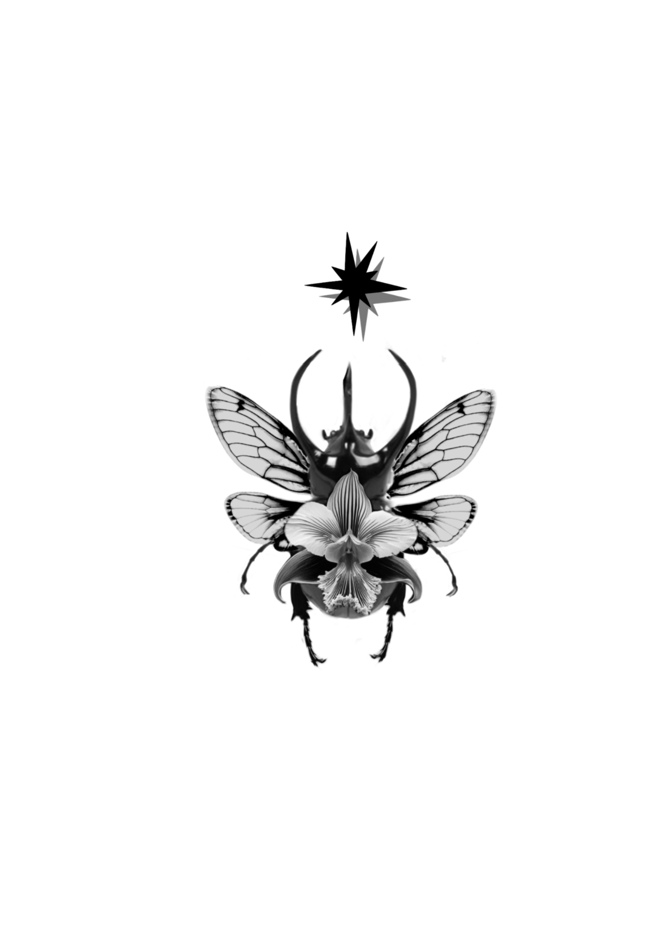 Stag Bloom