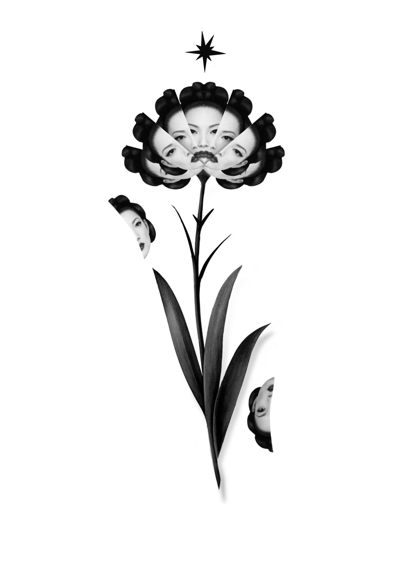 Geisha Bloom