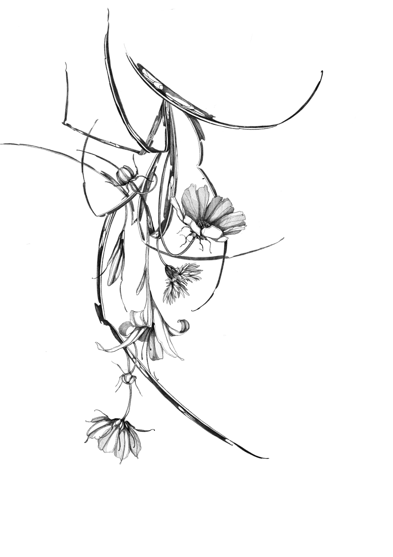Hanging Florals