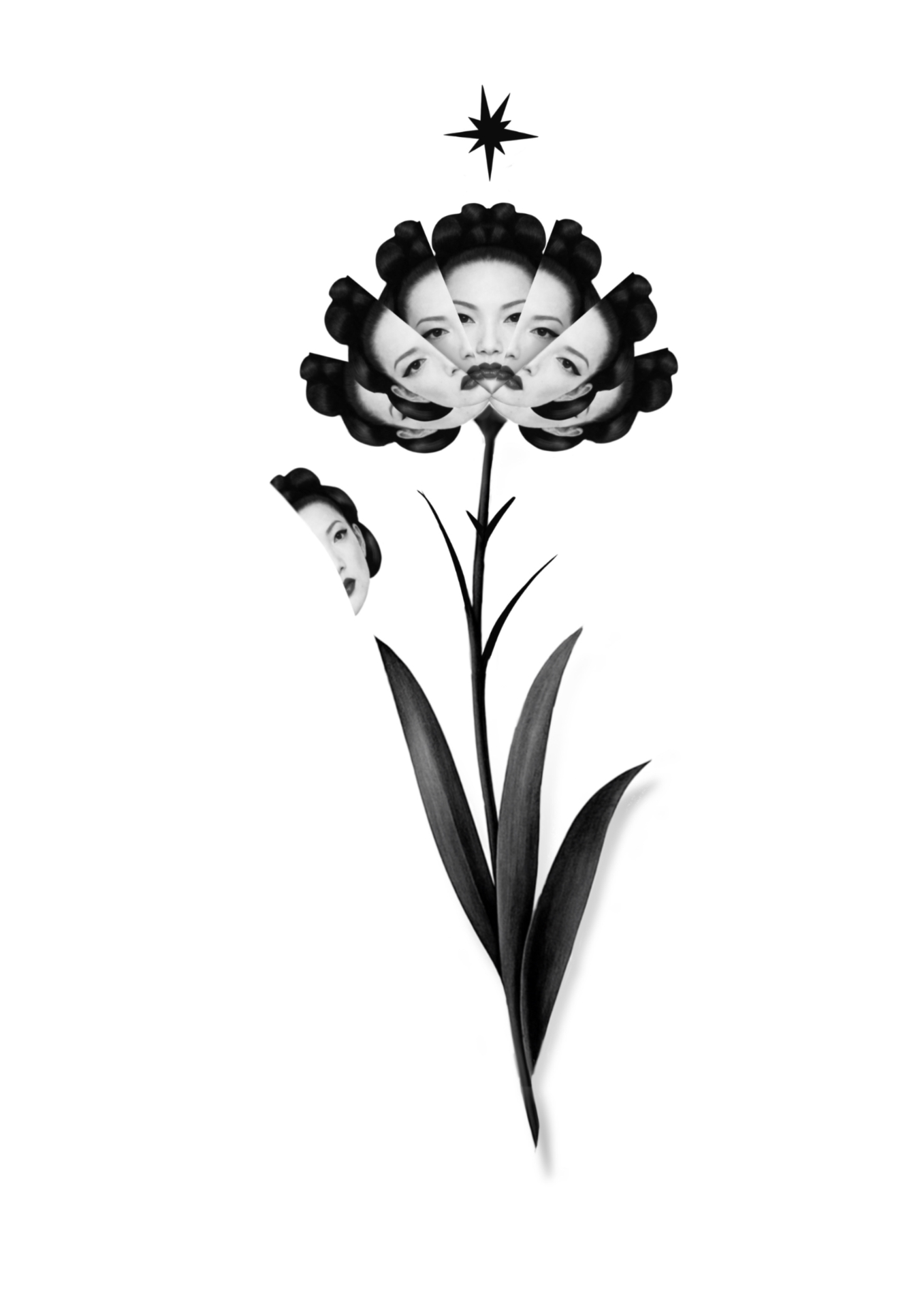 Muse Blossom