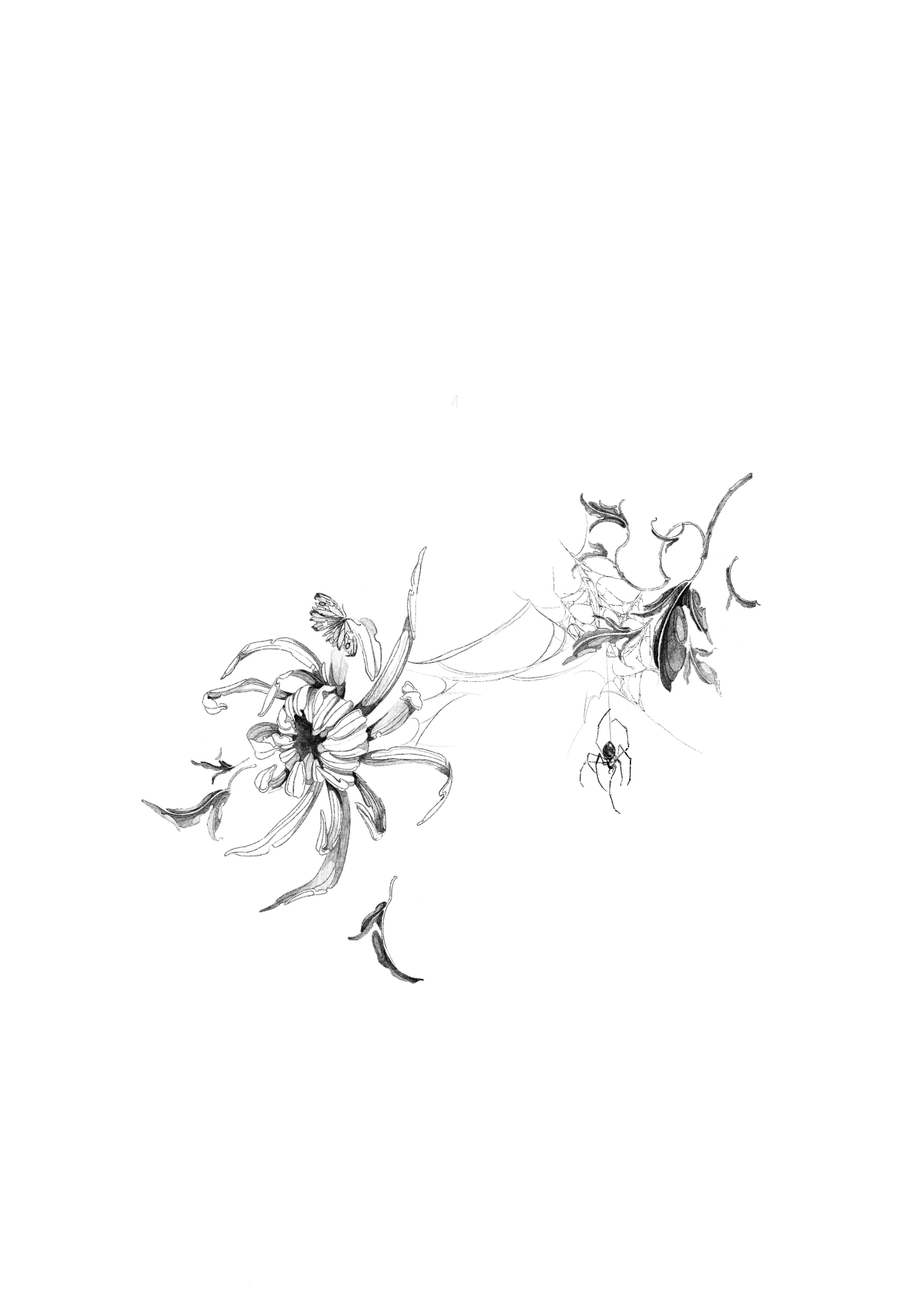 Spider Bloom
